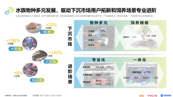 宠权最新，探索现代宠物权益的最新趋势与变革