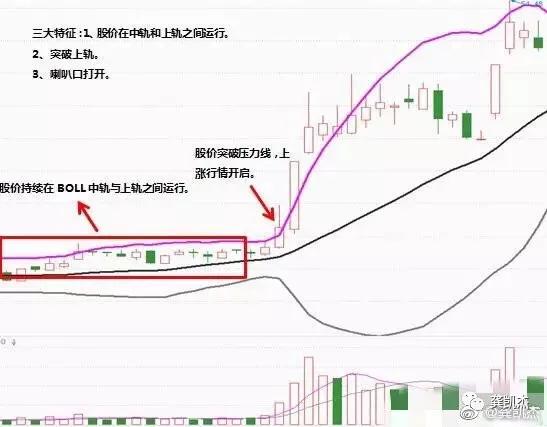 最新放量股票，市场动态与投资策略