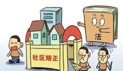 探索最新社区职能的多元发展与影响