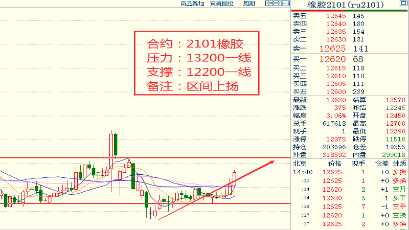 趣豆最新价格解析与市场动态