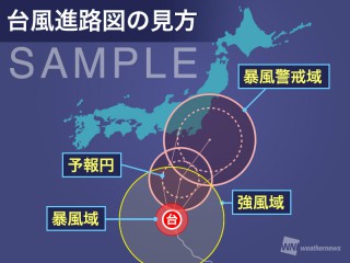 实时追踪台风最新情报直播