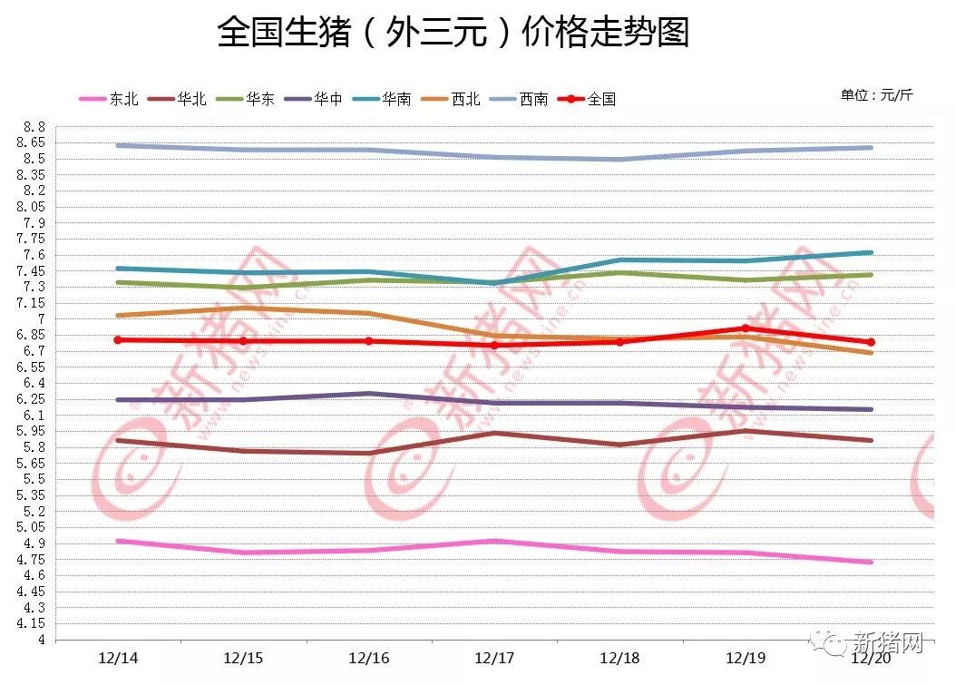 今日生猪最新信息，市场动态与深度解析