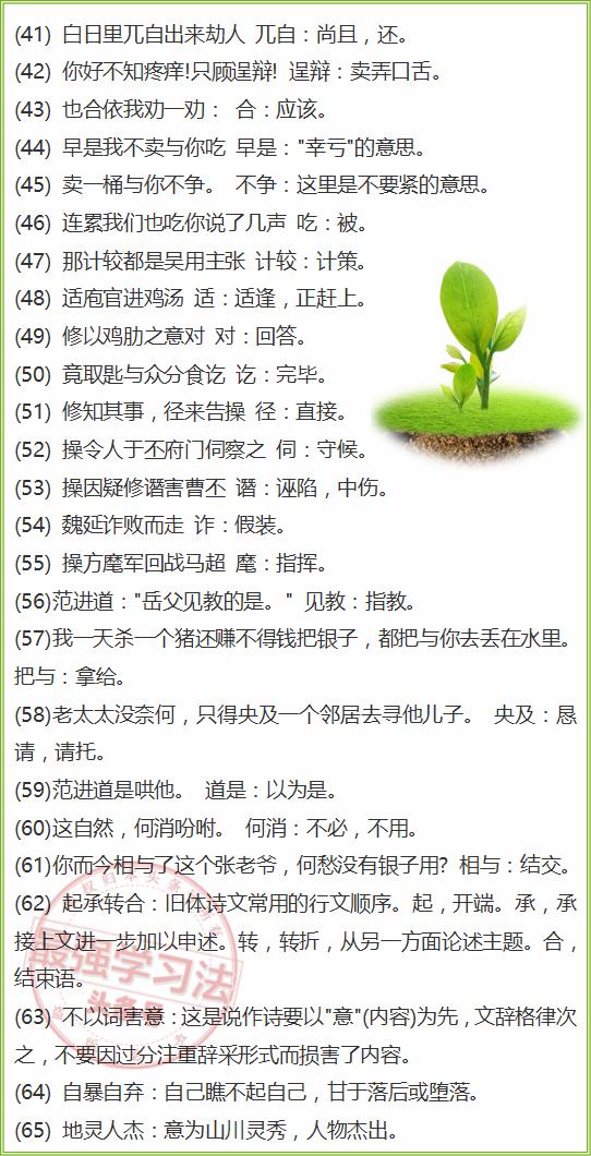 白小姐一码一肖中特1肖;讲解词语解释释义